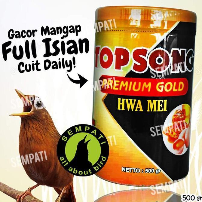 Kicaudor- Sempati Topsong Top Song Premium Gold Hwa Mei Pakan Burung Wambi Hwamei Hua Mei Poksay Mur