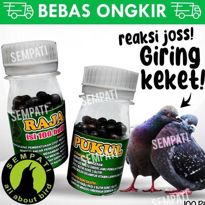 Kicaudor- Sempati Raja Pukul Jamu Pil Merpati Balap Kolong Tinggi Isi 100 Butir Vtrpk