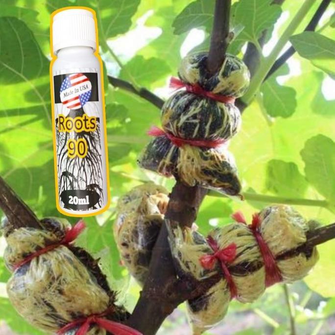 Joee- Root 90 Usa 20Ml Hormon Akar Dan Tumbuh Tanaman