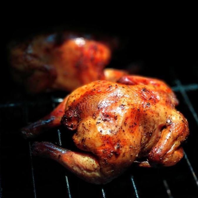 Roasted Rosemary Chicken Ayam Panggang Rotisserie Sehat Non Kolestrol