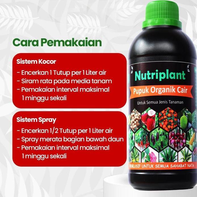 Pupuk Organik Cair Cabai | Nutrisi Tanaman cabai | Pupuk Organik Cair Cabai Rawit murah