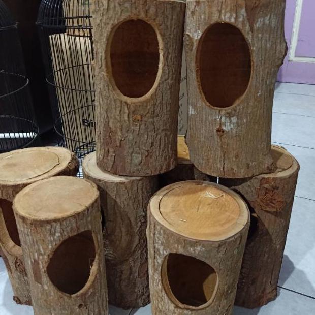 Readyy Stok Glodok pohon untuk murai batu kacer - glodok burung - rumah burung