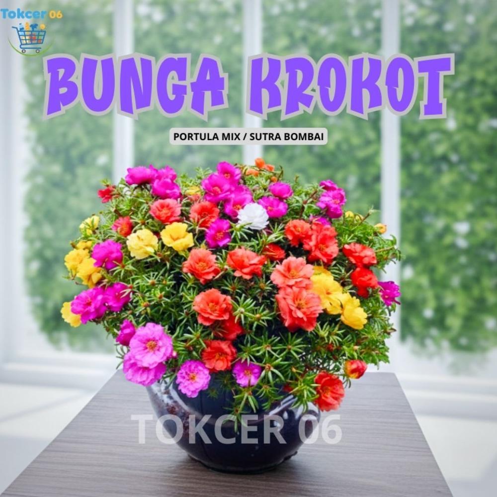 Bisa Cod Pupuk Npk 16 16 16 Pupuk Tanaman Pupuk Bunga Kemasan Reapack 30Gr Mutiara Maroke ><