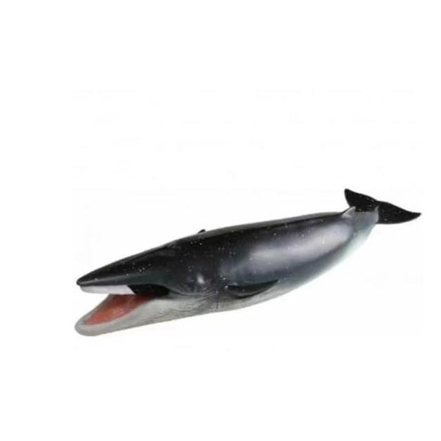 RECUR Toy Figure Animal BALAENOPTERA PHYSALUS