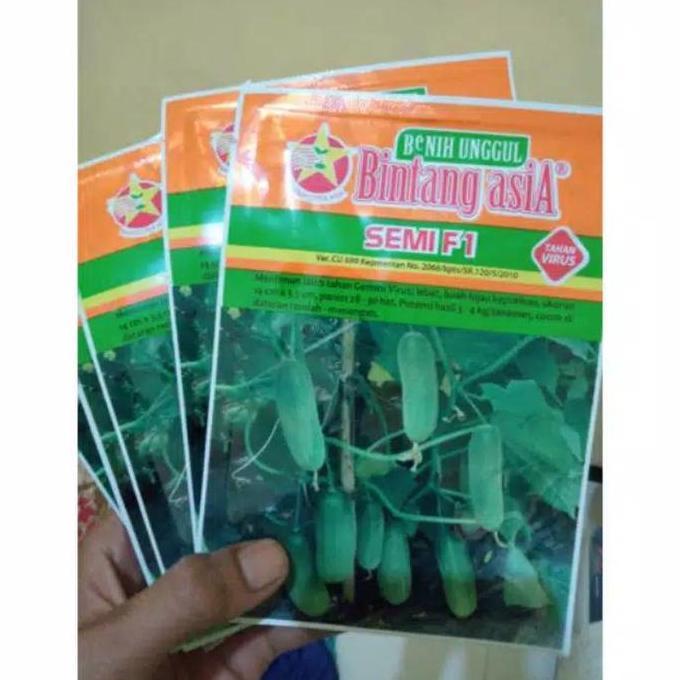 Bibit mentimun/benih timun baby BINTANG ASIA SEMI F1 isi 20gram expayert 1-2026