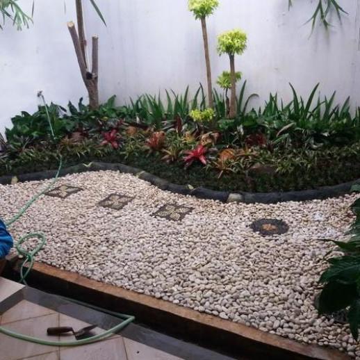 Batu Korall Putih / Batu Hiasan Taman
