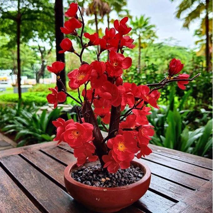 POHON SAKURA POHON IMLEK BUNGA IMLEK GONG XI BUNGA MEIHUA TAHUN BARU CINA POHON MEIHUA ANGPAO