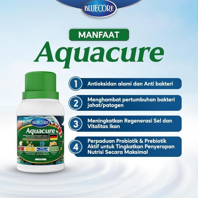 Altx- Bluecore Aquacure Antibiotik Alami Ikan Solusi Mencegah Bakteri Dan Virus (Cocok Untuk Berbaga