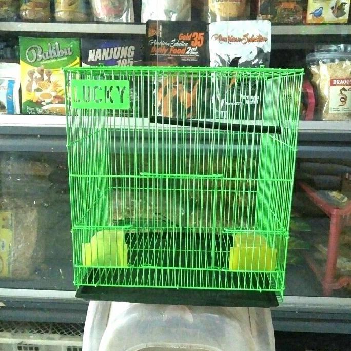Ready KANDANG BESI MINI MERK LUCKY
