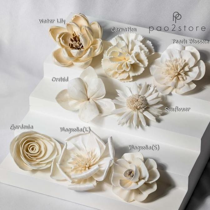 Promo Bunga Reed Diffuser - Sola Flower - Kering / Dried Klobot Wood - Ornamen / Hiasan / Aksesoris 