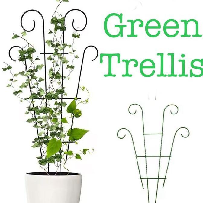 KEZOUKAKU- Teralis Hijau Penyangga Tanaman Rambat Kebun Taman - Fan Trellis Metal Plant Support Stak