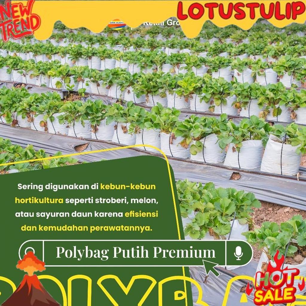 GROSIR Polybag Putih 40 x 40 Isi 50 Lembar - Polybag Premium Putih / Putih - Hitam Putih