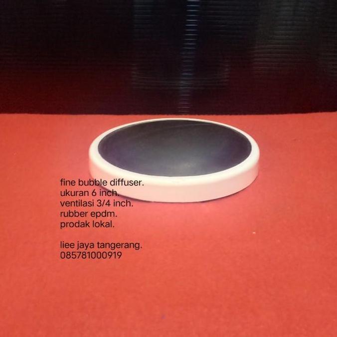 fine bubble diffuser
