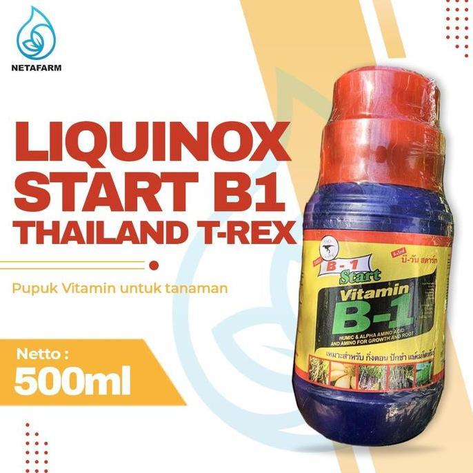 Liquinox Thailand T-rex Start B1 Original 500ml