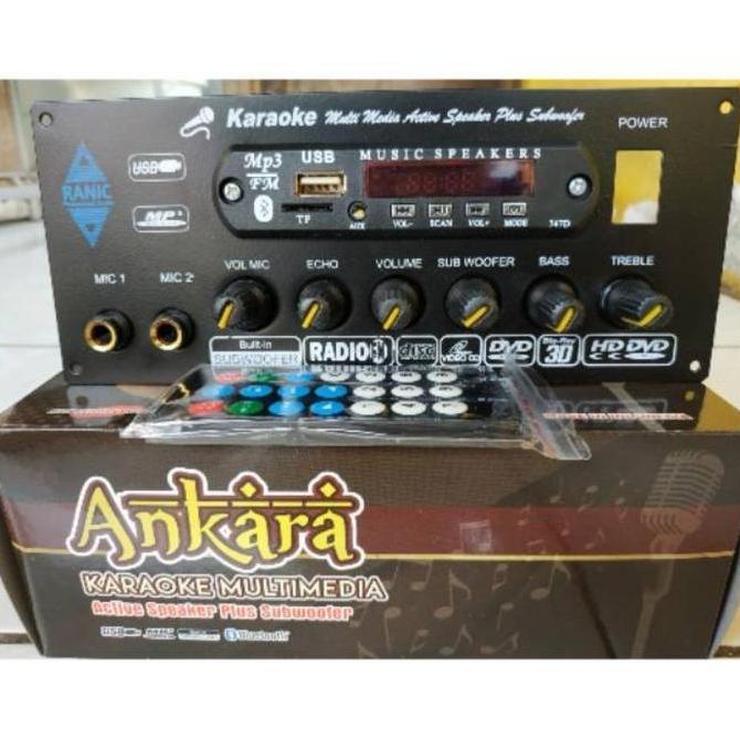 Kit aktif speaker echo mic usb bluetooth stereo karaoke ( 836