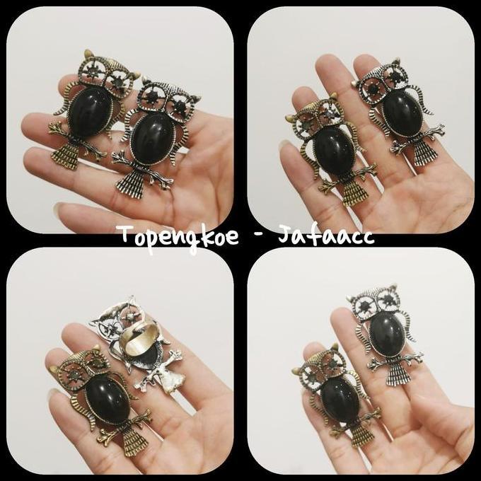 #@#@#@#@] cincin ernik burung hantu owl