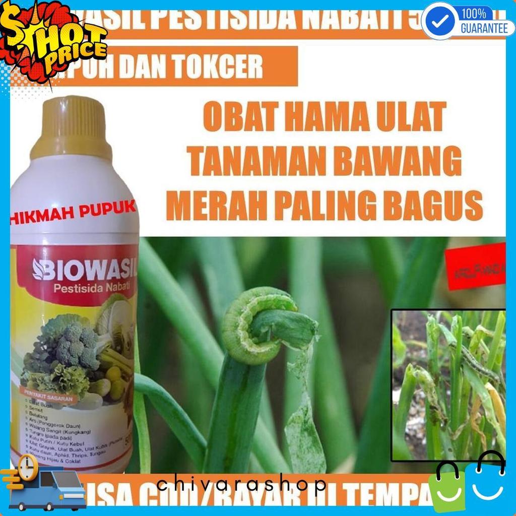 Wajib Punya (Cod) Biowasil 500 Ml Pestisida Hama Ulat Bawang Merah, Bawang Daun, Padi Obat Hama Ulat