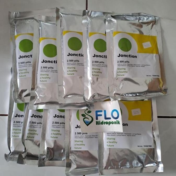 Terlaris Benih Selada Keriting Jonction Rz Junction Rz 1000 2500