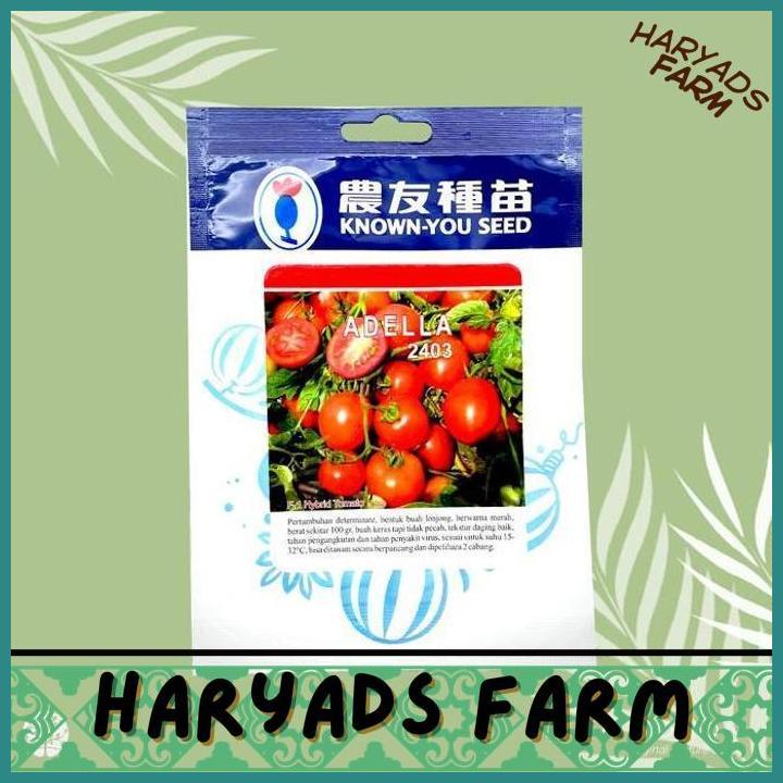 HF [1 PACK] BENIH TOMAT ADELLA 2403 F1 HYBRID TOMATO - KNOWN-YOU SEED - HARYADSFARM