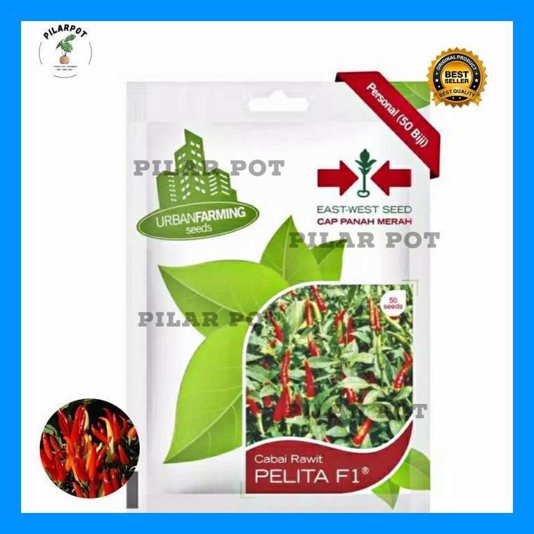 (Ready) Benih Bibit Cabai Rawit Pelita F1 Cap Panah Merah - Cabai Pelita F1 Bestseller