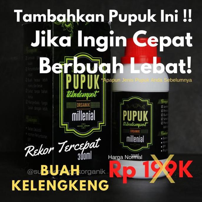 Terlaris Pupuk Tabulampot Kelengkeng, Terbaik 