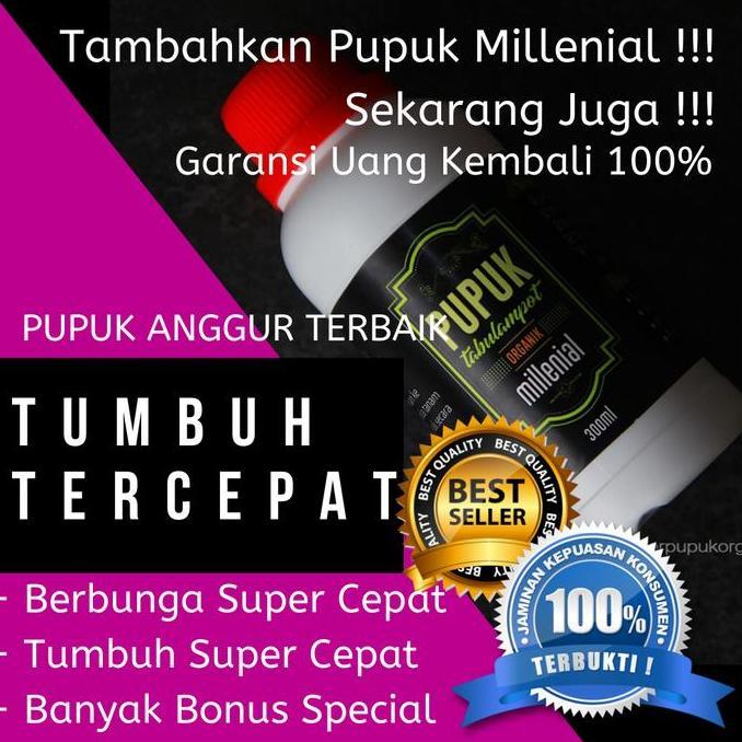 Terlaris Pupuk Anggur Agar Berbuah Lebat Pupuk Anggur Agar Cepat Berbuah 2