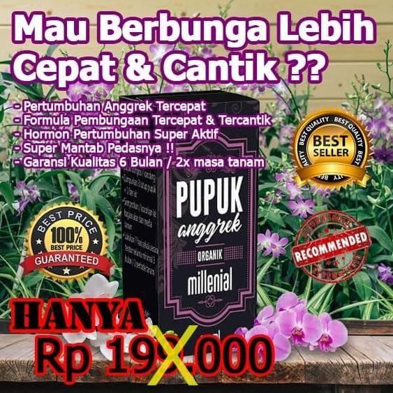 Terlaris Pupuk Anggrek Agar Subur Dan Berbunga,Pupuk Anggrek Cepat Berbunga,Pupuk Anggrek Biar Subur