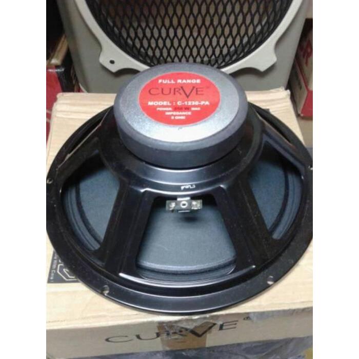DS358 >> SPEAKER 12 INCH FULL RANGE CURVE
