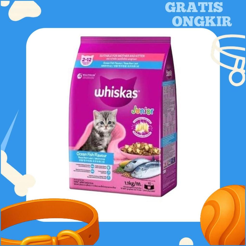 Whiskas Junior 1.1Kg Whiskas Junior Tuna Whiskas Junior Ocean Fish Whiskas Junior Tuna Salmon Whiska