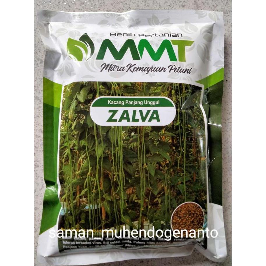Terlaris Benih Kacang Panjang Zalva 500 Gram - Bibit Kacang Panjang Zalva Jalva Jalpa Zalfa Jalfa Ja