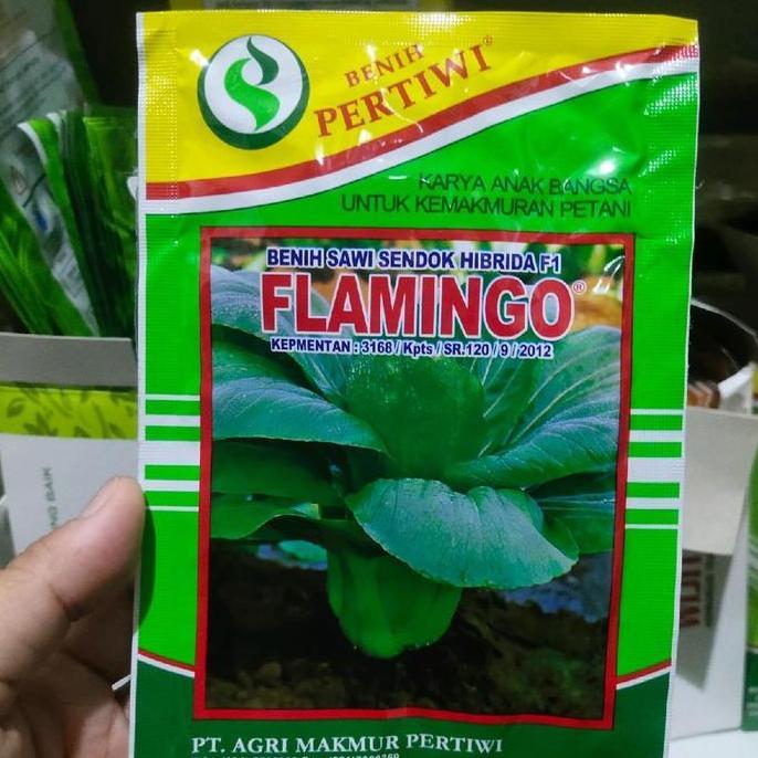 Benih Sawi Sendok Flamingo F1 10 Gram Sawi Daging Pakcoy Hibrida Dari Benih Pertiwi Sawi Flamingo Pe