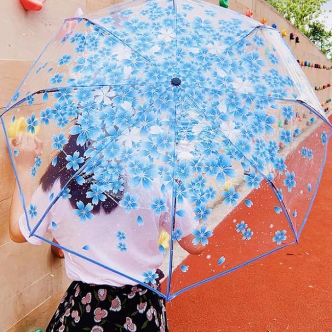 Payung Lipat Transparan Motif Sakura Desain Klasik, Stylish, & Elegan