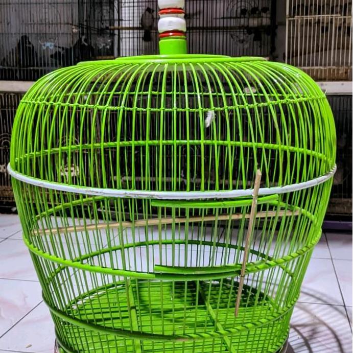 sangkar burung perkutut rajut rotan