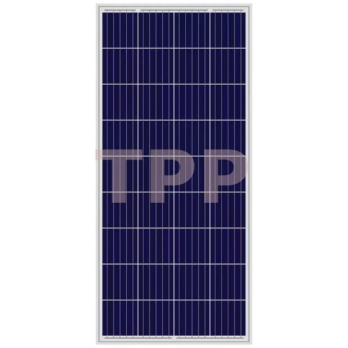 PROMO Panel Surya Poly 150 WP Solar Panel 150WP