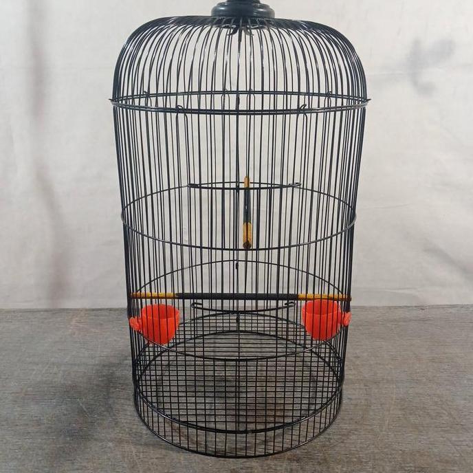 RAM BESI SANGKAR LOVE BIRD