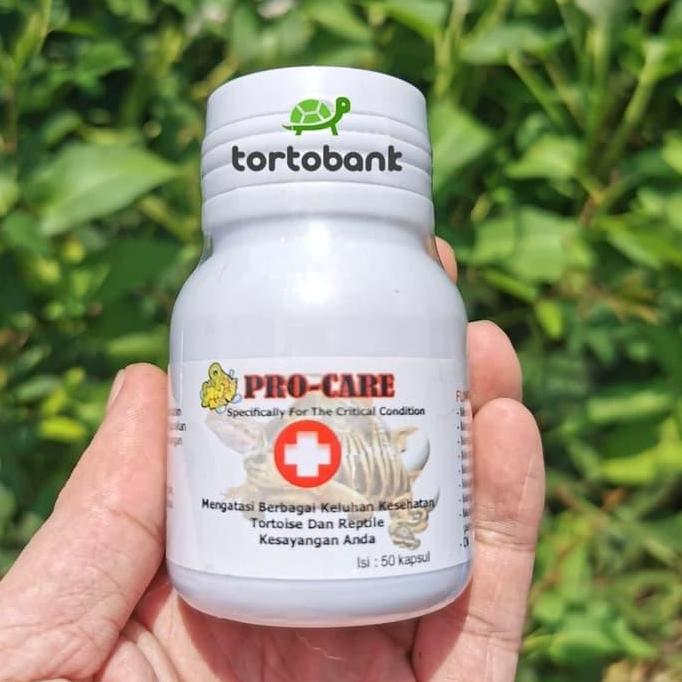 TERMURAH - PROCARE OBAT PILEK KURA OBAT KURA OBAT NAPSU MAKAN KURA OBAT REPTIL