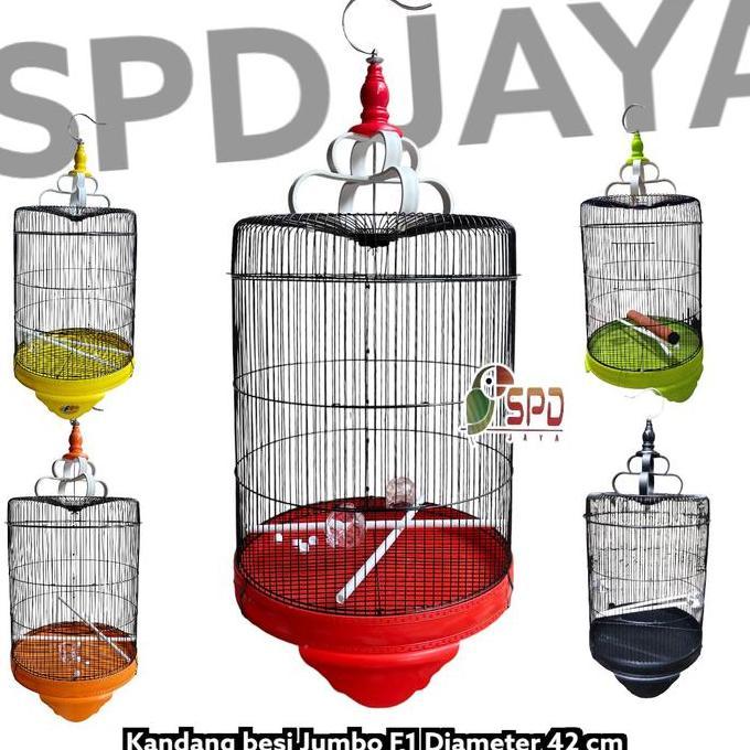 Sangkar kandang besi jumbo F1 diameter 42