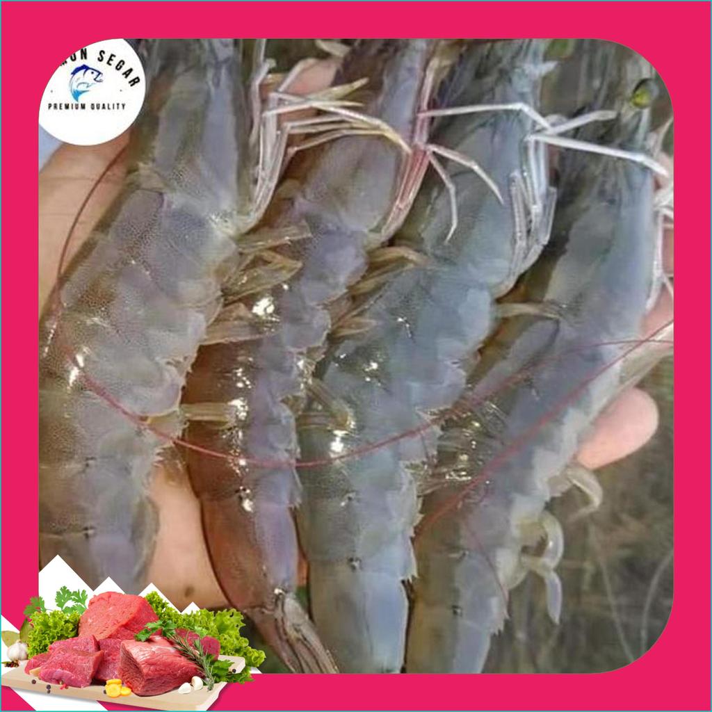 Udang Vaname Besar Segar - Udang Vaname K30 Baru