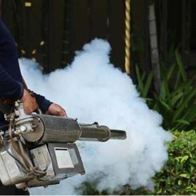 Jasa Fogging Nyamuk Dbd
