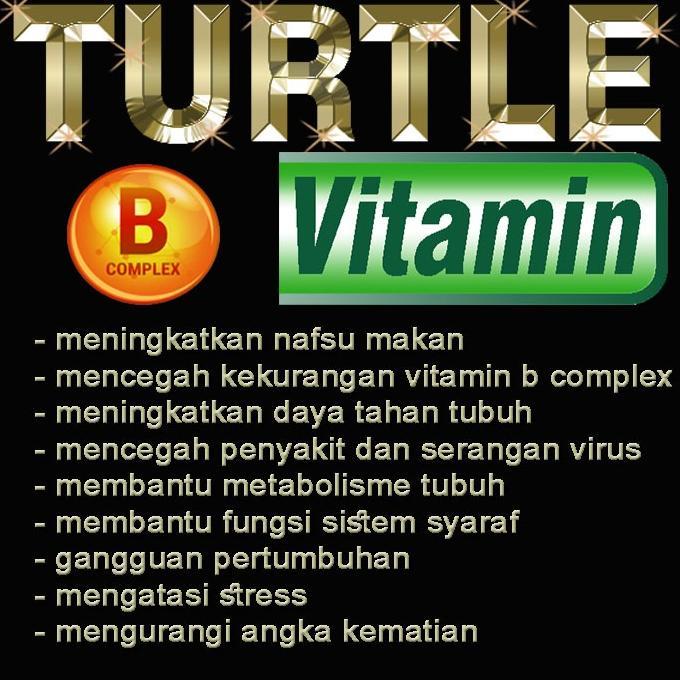 Turtle Vitamin Bubuk Kapsul Obat Menambah Nafsu Makan Mencegah Penyakit Kekurangan Vitamin B Complex