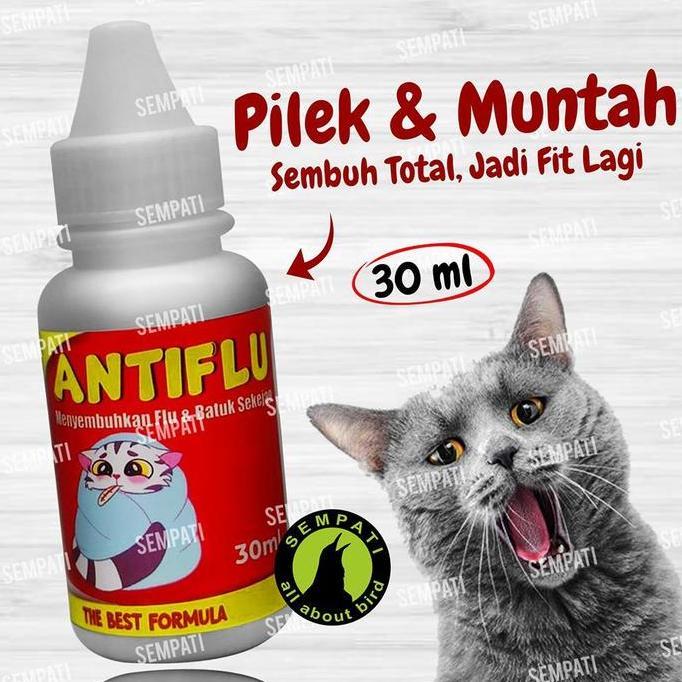 SEMPATI Obat Kucing Anti Flu Batuk Pilek Antibiotik Kucing Kitten Anabul Atasi Bersin Sariawan Infek