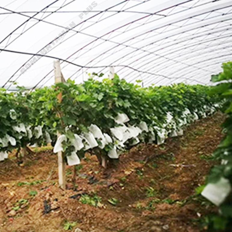 Promo Cod Ya Kak Fruit Cover 100Pcs /Pembungkus Buah /Kantong Pembungkus Buah Jambu Air Fruit Cover 