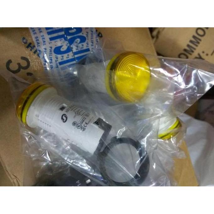 pilot Lamp Schneider