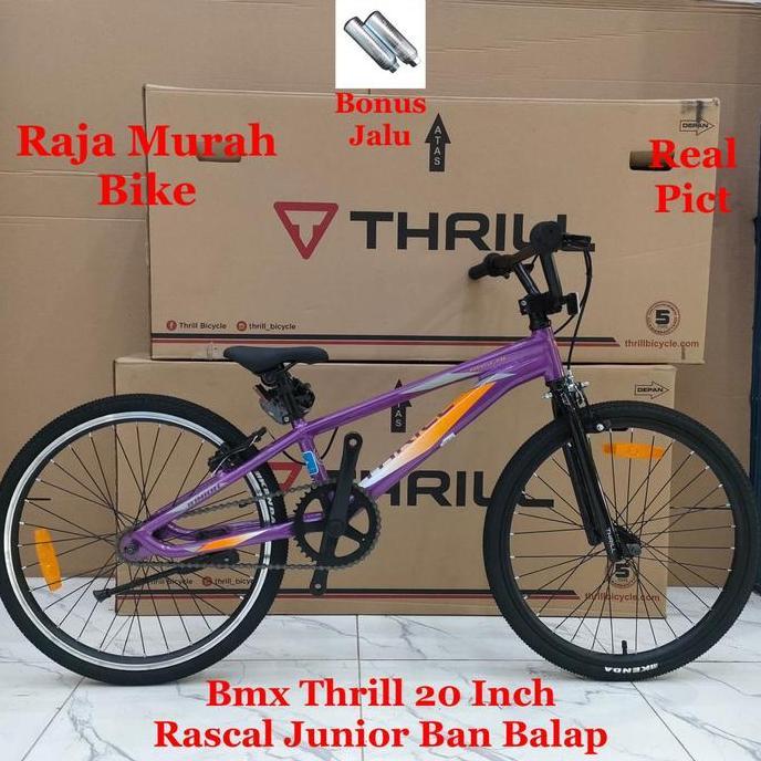 Sepeda Bmx 20 Inch Thrill Rascal Junior Ban Balap Sepeda Bmx Thrill Rascal Junior 20 Inch
