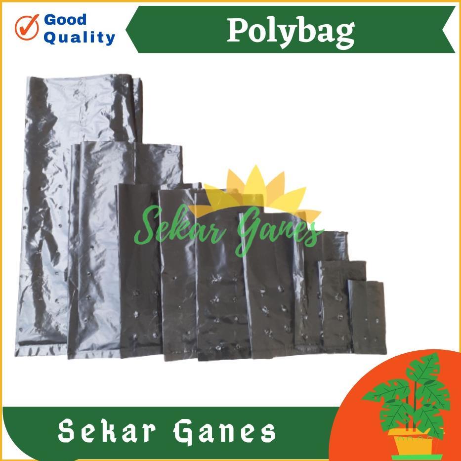 Bisa Cod Ya Kak 1 Polybag Tanaman Polibag Tebal Kecil Sedang 10X12 15X15 20X20 25X25 30X30 Pot Plast