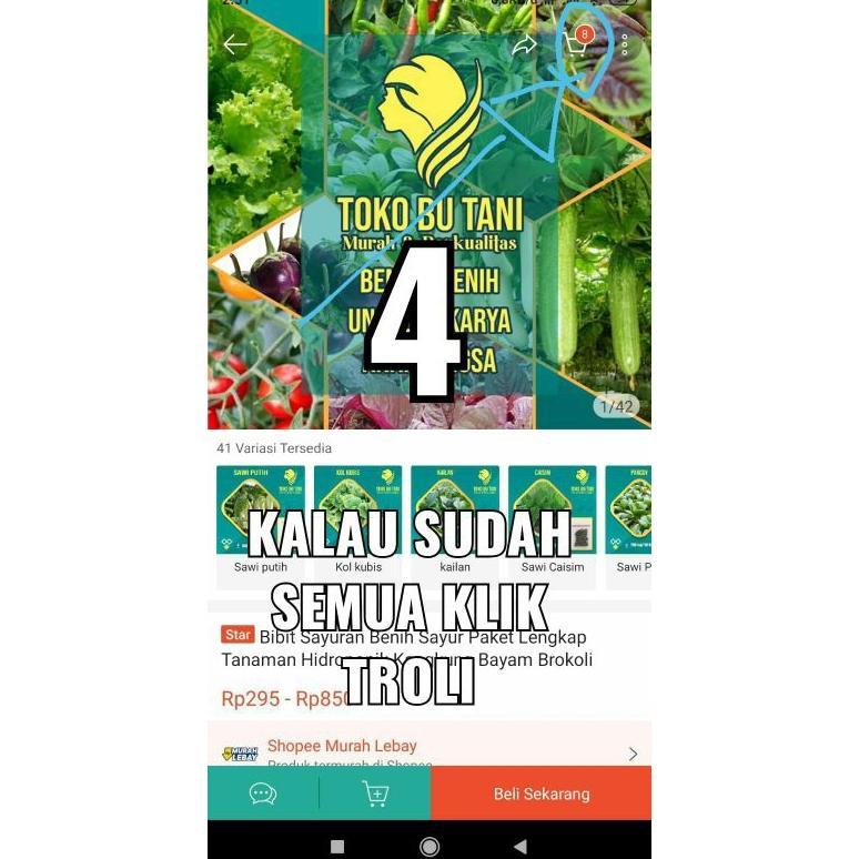 Promo Cod Bibit Sayuran Benih Sayur Paket Lengkap Tanaman Hidroponik Kangkung Bayam Brokoli Cabe Raw
