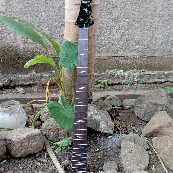 Neck Bass Schecter Omen Elite 5 String