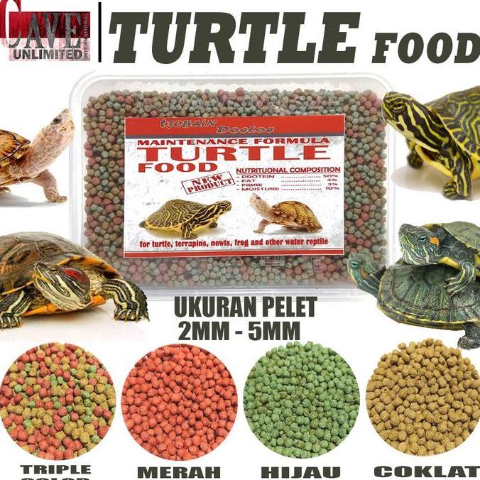 Turtle turtles food makanan pakan kura kura razor brazil res ast cst