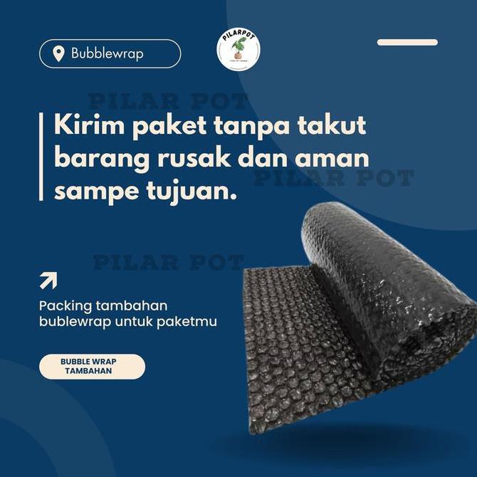 Benih Bibit Terong Ungu Panjang F1 Charming Known You Seed - KYS TERONG UNGU PANJANG F1 CHARMING  PR