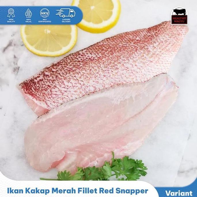 Terlaris Ikan Kakap Merah Fillet /Red Snapper Premium